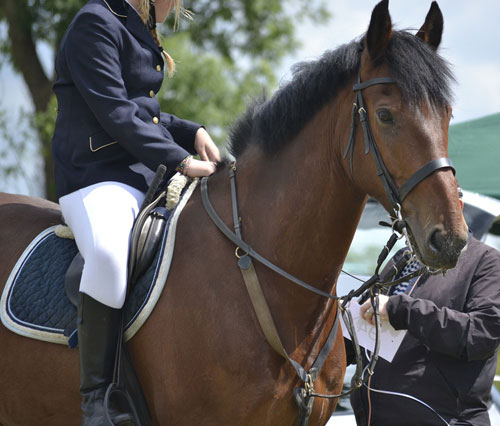 Horserider-On-Horse-500px